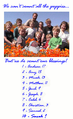 We can't count all the poppies... But we do count our blessings!  1-Andrew, 17; 2-Amy, 15; 3-Micah, 13; 4-Matthew, 11; 5-Jacob, 9; 6-Joseph, 8; 7-Caleb, 6; 8-Christian, 3; 9-Samuel, 2; 10-Sarah!